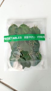 DAUN BIDARA ARAB (SIDR) ASLI DAN SEGAR KUALITAS TERBAIK UNTUK OBAT HERBAL DAN RUQYAH