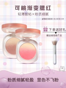 2024 New Gradient Blush Palette Dual Tone Natural Makeup Shiny Highlight Sun-Kissed Orange Color Student Affordable Niche Womens Makeup
