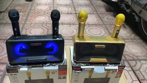 Loa Karaoke Bluetooth SD 301 kèm 2 Mic không dây