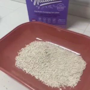 Catit ทรายแมว เต้าหู้ ผลิตจากไฟเบอร์ถั่วลันเตา แคนาดา เกรดพรีเมี่ยม Pea husk cluming cat litter 14ลิตร