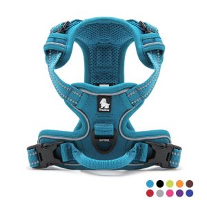 ส่งจากไทย C102 TRUELOVE TH Pet Harness: ปลอกคอรัดอกสุนัข ป้องกันอันตรายจากการกระชาก ฮาเนสสุนัขหมาแบบรัดอกสุนัข