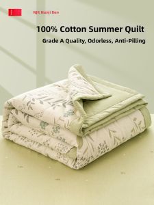 Nanjiren | Single Summer Cotton Quilt
