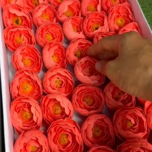 HOA MAO LƯƠNG SÁP.dùng cắm.bó tặng bạn bè .người thân yêu