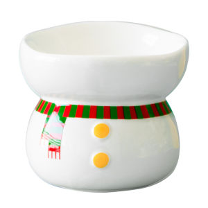YCQPET | Cervical Protection Ceramic Raised Cat Bowl