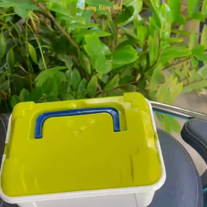 Hộp Đựng Đồ Chơi Đa Năng Bằng Nhựa Có Quai Xách Hộp Đựng Đồ Mini Có Nắp Đậy Xương Rồng Nhỏ