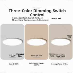 Elegant Minimalist Modern Circular Ceiling Light