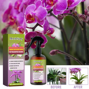 Orchid Fertilizer Spray: A Guide to Indoor Flower Cultivation