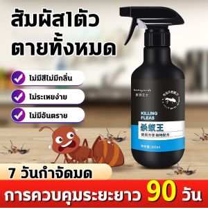 🔥 1 บริการ ฆ่ามดได้ผล 100% 🔥