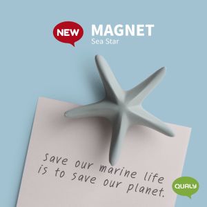 Sea Star Magnet แม่เหล็กติดตู้เย็น ดีไซน์ ปลาดาว  Qualy (ควอลี่)