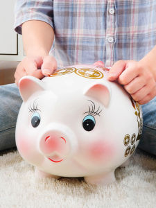 One Way Piggy Bank Large Gift