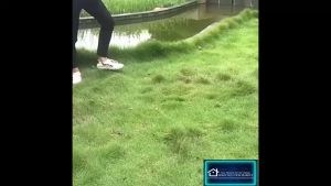 COD TaffHOME Alat Panggang Arang BBQ Outdoor Grill Stove Foldable  HWSK77 / Alat Panggang Arang Portable Pembakaran Serbaguna Alat Panggang Bbq Portable Lengkap