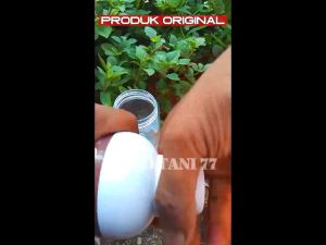 PUPUK ORGANIK CAIR KILAT TERLARIS