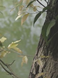 Multipurpose Camping Black Steel Table Stacking Storage Rack Foldable Table Bamboo Board