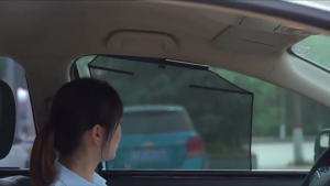 Automatic Lifting Front Side Window Protector Cover UV Protection Car Window Sun Shades Car Sun Block Curtains