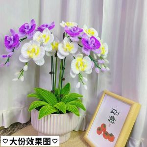 Bộ Đồ Trang Trí Nhà DIY Bó Hoa Lan Cạp Bướm Vase Hoa Tươi Trang Trí Trong Nhà Quà Tặng Cho Bạn Bè Quà Tặng Cho Người Thân