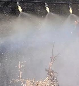 หัวพ่นทองเหลือง ปรับได้ ใช้งานได้หลากหลาย รดน้ำต้นไม้ พร้อมข้อต่อสามทาง มีชุด 10 ชิ้น