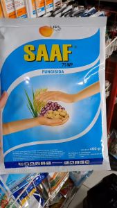 SAAF 75 WP FUNGISIDA PENGENDALI PENYAKIT // SAF FUNGISIDA