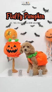 POMAPOO - Kostum Kucing dan Kostum Anjing Fluffy Pumpkin
