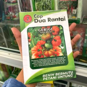 Benih Tomat Gerigi Tomat Cery Tomat Mawar 10gr Original Pabrik