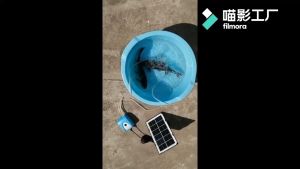 24V Solar Oxygen Supply Pump Portable Silent Aquarium Pond Aerator for Home Fish Farming Outdoor Use with 5m Cable