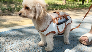 Portable Adjustable Crossbody Pet Carrier Bag for Small Dogs Cats Outdoor Travel Breathable Shoulder