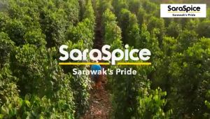 Saraspice Sarawak Serbuk Lada Hitam/Putih 200g | Black/White Ground 200g