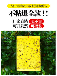 Sticky Card Household Yellow Board Blue Board Double-Sided Insect Trapping Sticky Fly Insect Balcony Small Black Fly Greenhouse Orchard Fruit Fly Trapper