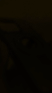 Case Leather Anti Fall Anti Slip Standable Magsafe For Iphone 13 PRO MAX / 14 PROMAX / 15 PROMAX / 16 PROMAX