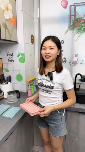 Round Ice Cube Mold 🍧 制冰盒冰球模具 Acuan Ais Bulat Bekas Ais Silikon Ice Ball 33 Holes Tray Jelly Maker With Cover DIY