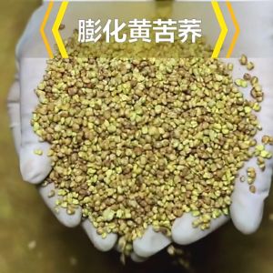 黄苦荞茶 荞麦茶 美颜排毒 降三高 Golden Buckwheat Tea (100g)