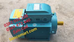 Motor động cơ điện cơ 1 pha 22kw(3 ng.ựa) Toàn Phát 2900v/p dây đồng bảo hành 12 tháng