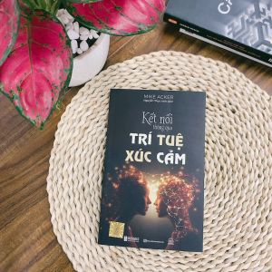 Sách Kết Nối Thông Qua Trí Tuệ Xúc Cảm