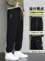 Loose Fit Sporty Sweatpants for Men Summer New Style plus Size Comfortable Casual Long Trousers Baggy Harlan Pants with Pockets. 