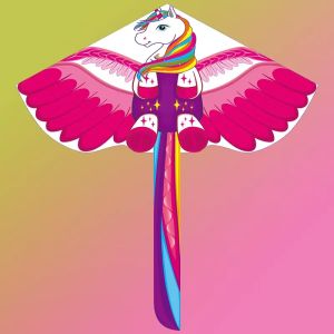 Adults kites flying outdoor toys ripstop nylon kites factory dragon kites line Outdoor toys beach kites comet koi for fun play