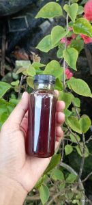 madu murni multiflora asli 100% tanpa campuran Grade A