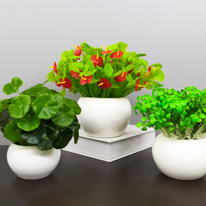 Artificial Flower Plastic Artificial Flower Ceramic Green Plant Decorations Living Room Home Desktop Furnishings Succulent Small Bonsai Ornaments