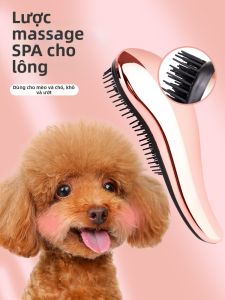 7o | Lược Chải Và Massage Cho Chó Nhỏ