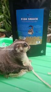 Paket 3 Fish Snack Camilan Makanan Sehat Favorit Sugar Glider