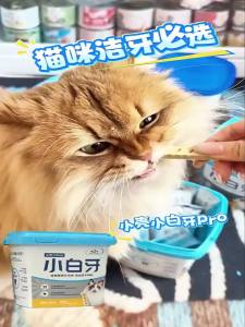 Cature | Teeth Cleaning Cat Snack