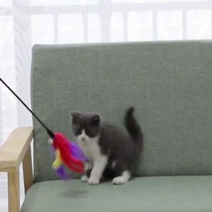 Murah Banget - Mainan Stik Kucing Tongkat Bulu Lonceng