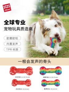 GiGwi Dog Toy Sound Making Chew Bone Teeth Grinding Durable Teddy Golden Retriever Corgi Self Entertaining Stress Reliever