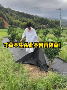 Garden Anti Grass Cloth Garden Weed Barrier Fabric High Density Woven Landscape Fabric Premium Heavy DutyWeed Mat Fabric