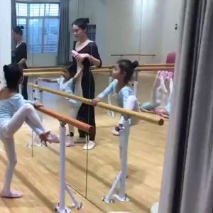 ✅Ready Stock✅ 1.5-3.5M Portable Steel Ballet Dance Barre Bar Leg Press Home Gym Fitness Adjustable Height Rubber Stand