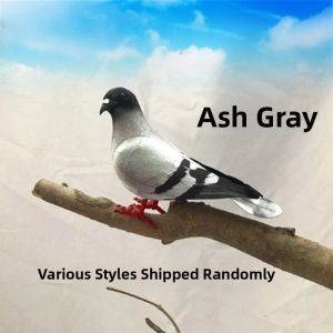 Yisheng | Simulated Pigeons Photography Garden Accessories