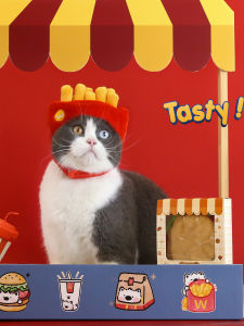 McDonalds Pet Hat Headwear Casual Cartoon Cute Winter Warm Small Cat Dog Head Cover for Photography Scallop Octopus Cake