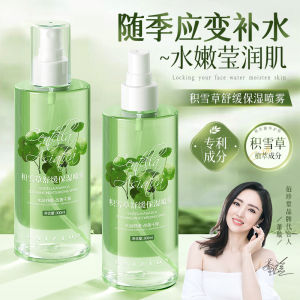 Hydrating Moisturizing Spray 300ml Soothing Brightening Skin Replenishing Essence from Baizhen Tang Aloe Vera Plant Extract