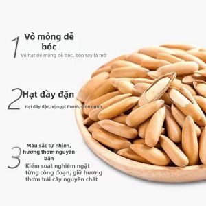 Hạt Thông Brazil Bóc Sẵn Kích Cỡ Lớn