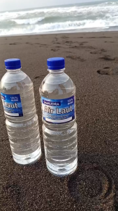 Air Laut Murni Asli 100% Original Samudra Laut Selatan Jogja Aquascape Aquarium