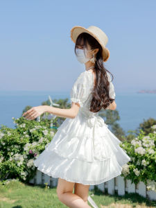 Fugang Dream Floral Print Princess Skirt Short Dress Elegant Vacation Cake Skirt High Waist Polyester Fiber Short Sleeve Dress