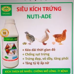 Siêu kích trứng NUTI-ADE dùng cho gà vịt chim cút đẻ - Trứng đẹp vỏ dày tăng phôi - Chống sụt trứng kéo dài thời gian đẻ